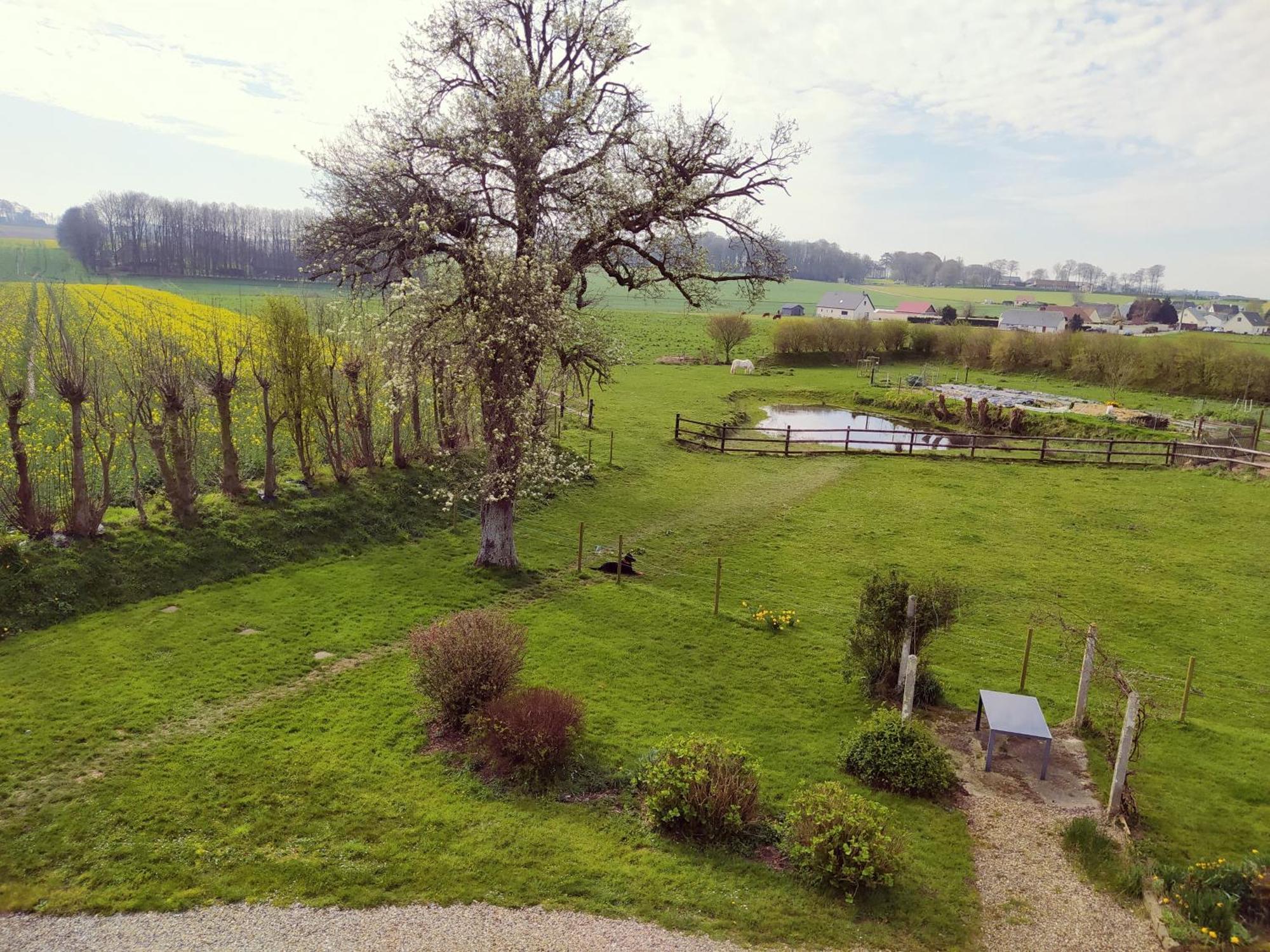 Chambres D'Hotes " Le Clos Des Colimacons " Maniquerville ภายนอก รูปภาพ